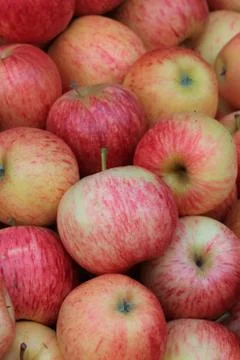 Group of red apples. Stock Photos