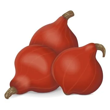 Group of Red Kuri squash. Stock Illustration