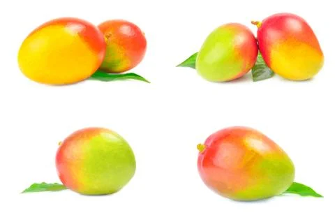 Group of red mango isolated on a white background cutout Foto stock