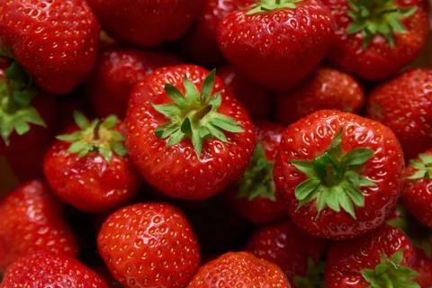 Group of red strawberries Stock Photos