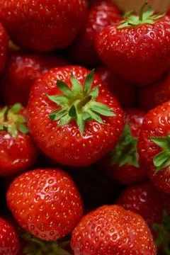 Group of red strawberries Stock Photos