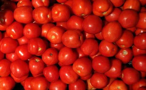Group of red tomato background texture. Stock Photos