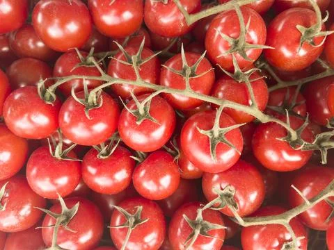 Group of red tomato background texture. Red ripe tomatoes pattern. Close-up.. Stock Photos