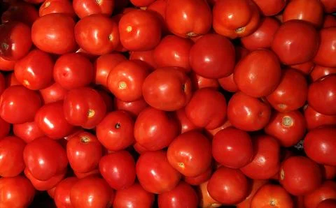 Group of red tomato background texture. Stock Photos