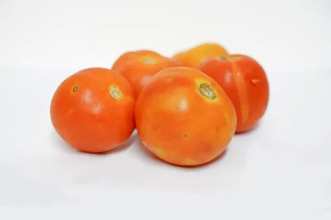 Group of Red tomatoes and cherry tomatoes are shown isolated on a white back Foto stock