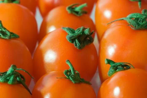 Group of red tomatoes Stock Photos