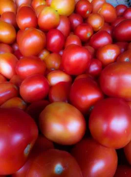 Group of  red Tomatoes Stock-Fotos