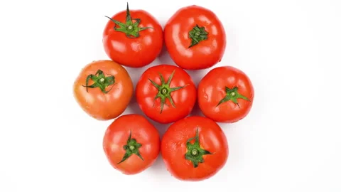 Group Of Red Tomatoes Rotating On White Background Top Down View Stock Footage 325433390