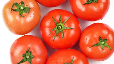 Group Of Red Tomatoes Rotating On White Background Top Down View Stock Footage 325435510
