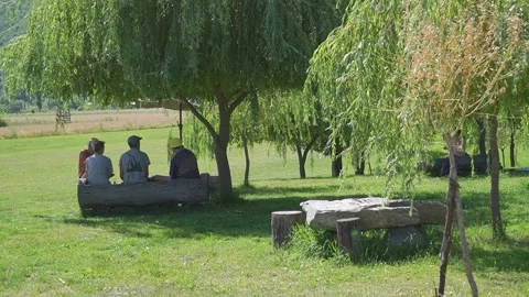 Group Relaxing Under Tree Shade in Nature Stock Footage 304575931