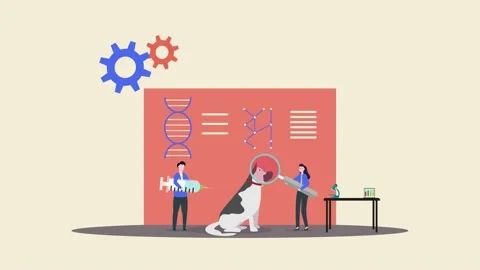 Group of researcher using dog for their experiment 库存影片 164656133