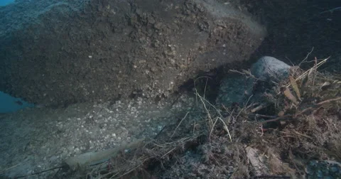 Group resting in the lee of a large rock, underwater, discarded fishing tackle, Stock Footage 61968563