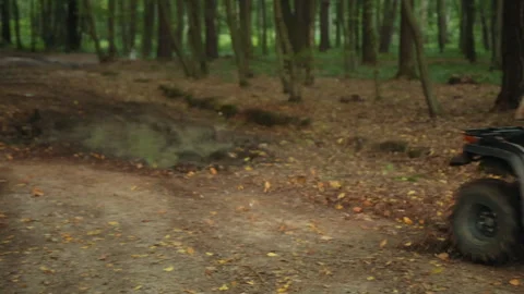 Group ride, Woods navigation, ATV group Stock-Footage 284102984