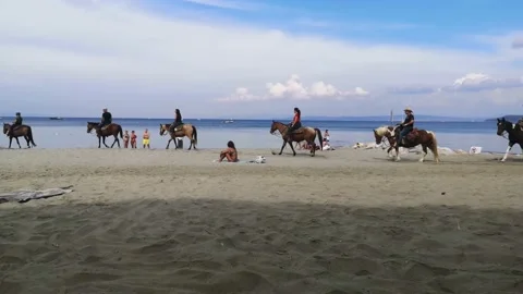 A group  of riders on horse riding at sandy beach on sea background Stock Footage 165838372