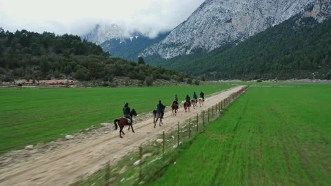 A group of riders on horseback run, field mountains are visible. Drone 4K Stock Footage 236390603