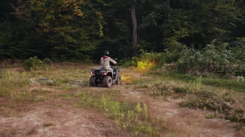Group riding, forest path, autumn forest Stock-Footage 319469523