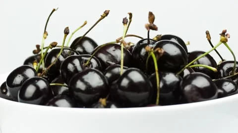 A Group of Ripe Dark Red Cherries in a White Plate.(BMCC 2.5K - 2400x1350)  Stock Footage 64483137