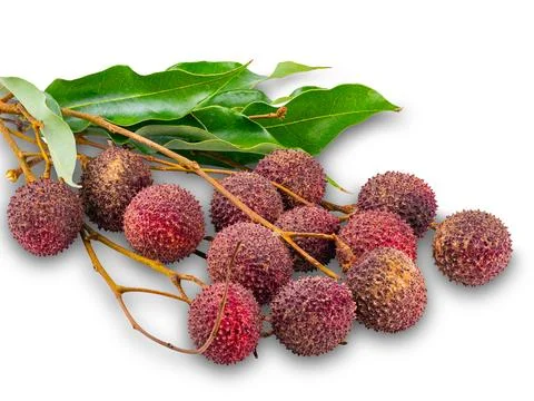 Group of ripe Lychee with stem and green leaves isolated on white background. Stock Photos