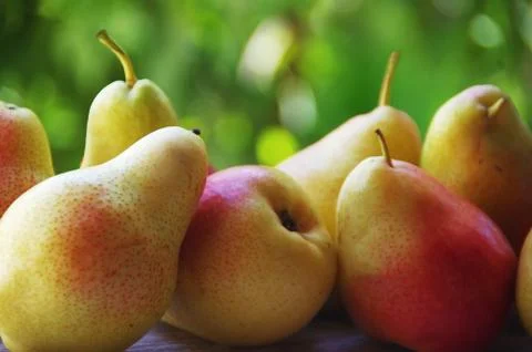 Group of ripe pears on table Stock Photos