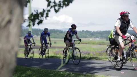 Group Of Road Bikers Riding Path Stock Footage 78208080