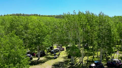 Group of off-road riders break for lunch in aspen grove Stock Footage 247340095