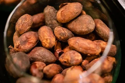 Group of roasted cocoa beans Stock Photos
