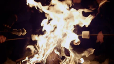 Group Roasting Marshmallows Stock Footage 127118878