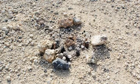A group of rocks on the beach Stock Photos