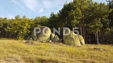 Group of rocks on pasture land in front of a pine forest in Bulgaria Stock Photos