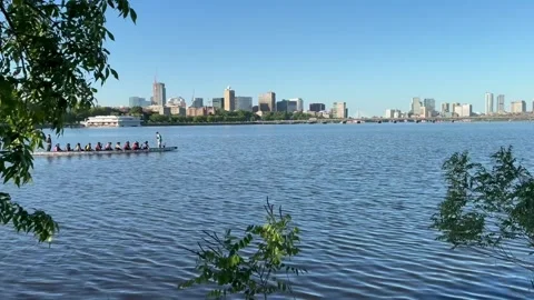 Group Rowing on the Charles River with Cambridge in the background. Stock Footage 336753166