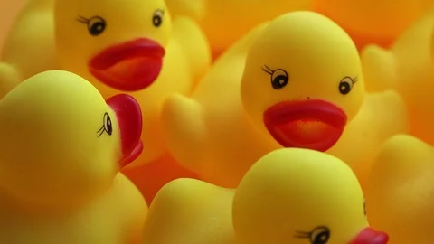 Group of rubber ducks Stock Footage 94669547