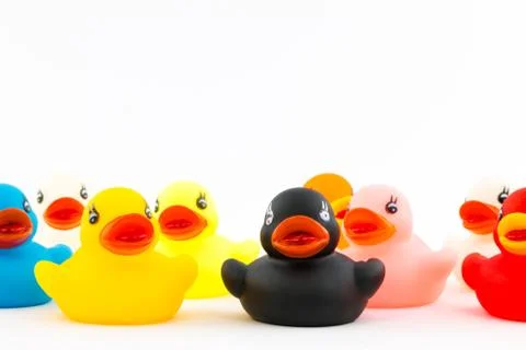 Group of rubber ducks 스톡 사진