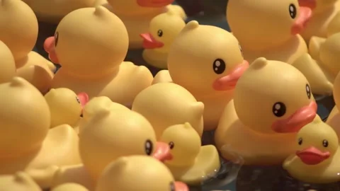 Group of rubber yellow ducks at pool Stock Footage 341851421