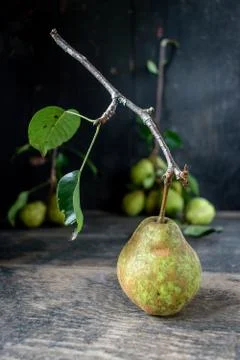 Group of rustic pears with stems and leaves on rustic farm table Stock Photos