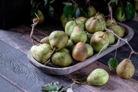 Group of rustic pears with stems and leaves on rustic farm table Stock Photos
