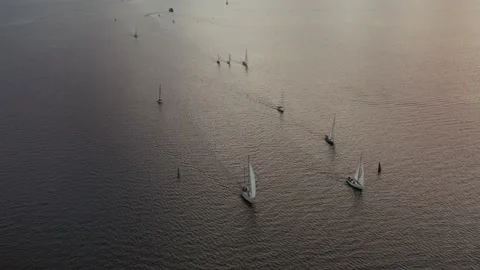 Group of sailing yachts at sunset Stock Footage 149647212
