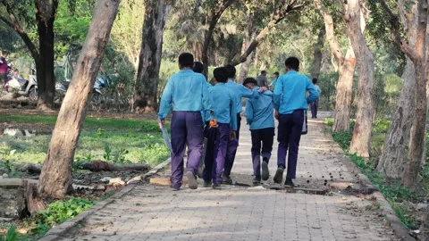 Group of School Boys Walking in Uniform  Friendship and Education Scene Stock Footage 331145959