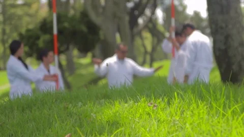 Group of scientist working at outdoors 動画素材 75167458