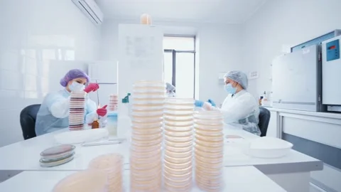 Group of scientists doing analyzes and tests in a modern bacteriological Stock Footage 189307371