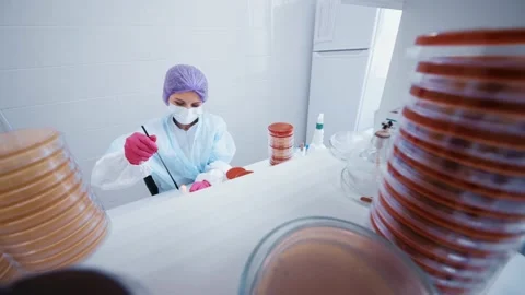 Group of scientists doing analyzes and tests in a modern bacteriological Stock Footage 190067181