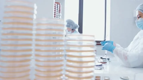 Group of scientists doing analyzes and tests in a modern bacteriological Stock Footage 194128610