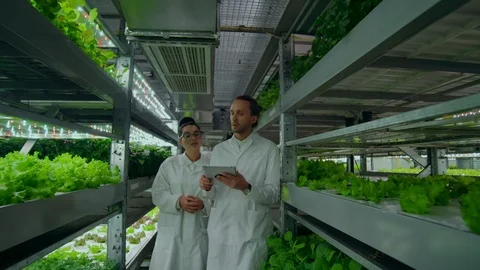 A group of scientists in white coats are on the corridor of a vertical farm with Stock Footage