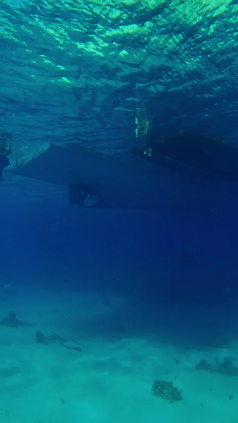 Group of scuba divers approaching and climbing ladder to diving boat Stock Footage 305329195