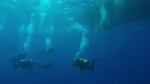 Group of scuba divers approaching the stern of diving boat in sunlight in Stock Footage 294686615