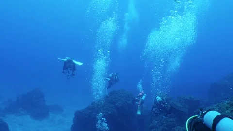 Group of scuba divers ascending with numerous air bubbles in Hachijojima Stock Footage 342740595