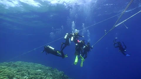 Group of scuba divers in blue clear ocean Stock Footage 276220606
