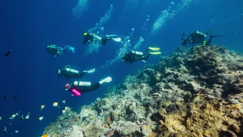 A group of SCUBA Divers descend down a reef into deep dark water Stock Footage 341099105