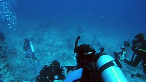 A group of scuba divers dive over coral reef, Indian Ocean, Maldives Stock Footage