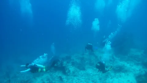A group of scuba divers dive over coral reef, Indian Ocean, Maldives Stock Footage