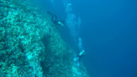 A group of scuba divers dives to the depth along the steep slope of the coral Stock Footage 74282232